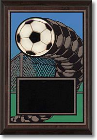 storeinfo/graphics/medium/ESP105
