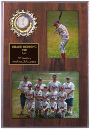 storeinfo/graphics/medium/SDN21