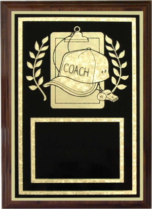 storeinfo/graphics/medium/Z46-CO