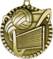 2" Volleyball Medallion