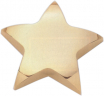 xxx107 Star Paperweight