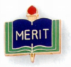 Merit Pin - AP09