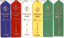 xxxPinewood Derby Ribbon