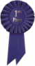 1st Place Rosette - I5RBS1
