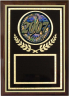 Activity Insert Plaque - Z46-AI
