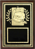 Coaching Plaque - Z46-CO
