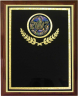 Activity Insert Plaque - Z68-AI
