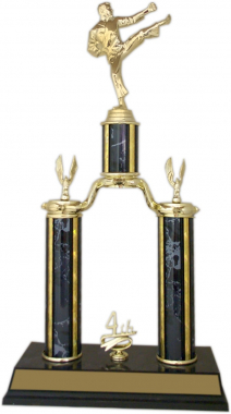 17" Challenge Trophy