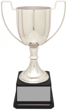 14-1/4" Silver-Plated Cup Trophy