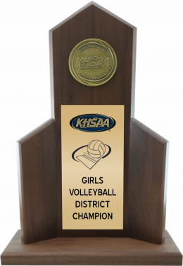 Volleyball District Champion Trophy