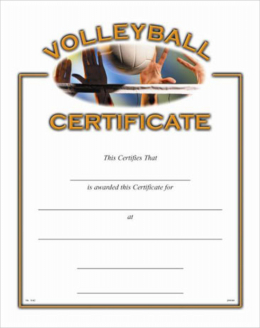 Volleyball Certificate
