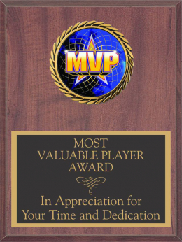 4" x 6" Activity Insert Plaque