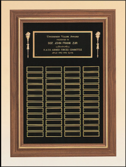 18" x 25", 48-plate Plaque