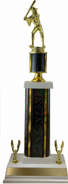17" Moderator Trophy