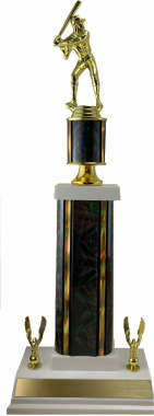 16" Moderator Trophy