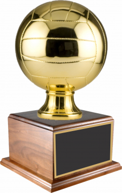 Fantasy Volleyball Trophy