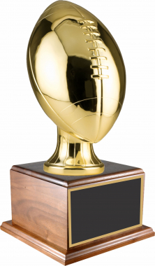 13 Large Fantasy Football Champion Resin Trophy - Fantasy Trophy Store