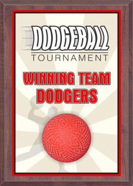 6" x 8" Dodgeball Plaque