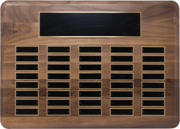 15" x 21", 40-plate Perpetual Plaque
