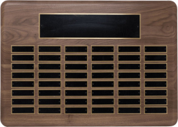 15" x 21", 48-plate Perpetual Plaque