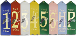 Track Ribbon (25 pack)