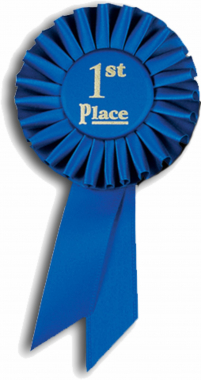 1st Place Rosette Ribbon