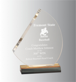 7-1/2" x 8-3/4" Sail Acrylic Award