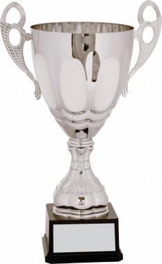 11" Silver-Metal Cup Trophy