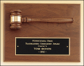 xxxParliament Series Gavel Plaque - PG2782