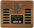 xxxAmerican Eagle Perpetual Plaque - P2296
