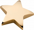 xxxStar Paperweight - 107
