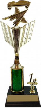 13" Pinewood Derby Racing Flag Trophy w/Side Trim