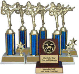 Karate All Star Trophy Package - 8145KA