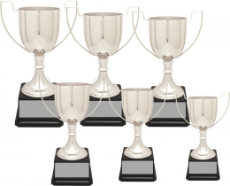 Silver-Plated Cup Trophy Series - CZCS