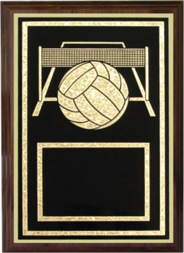 Volleyball Plaque