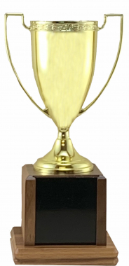 Cup Trophy - 391-95C