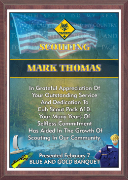 9" x 12" Scouting Appreciation Plaque