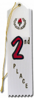 2nd Place Ribbon (25 pack)