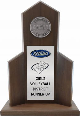 Volleyball District Runner-up Trophy