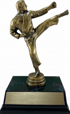 7" Karate "Competitor" Trophy