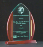 xxxRosewood Accented Acrylic Award - A6802