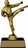 7" Karate "Competitor" Trophy - JDS43-8060