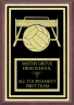 Volleyball Plaque - Z46-VB