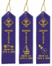 Custom Cub Scout Pinewood Derby, Raingutter Regattta and Space Derby Ribbons - SCOUTS