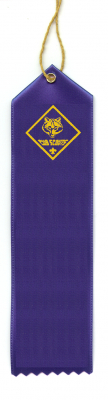 Custom Cub Scout Pinewood Derby, Raingutter Regattta and Space Derby Ribbons